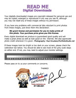 ++220808 calibrated_readme-image_download_copyright_release (PfolioRED)