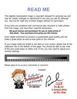 zzz-200127 calibrated_readme-image_download_copyright_release (PfolioRED)