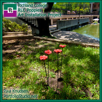4197-2 Poppies LABEL2