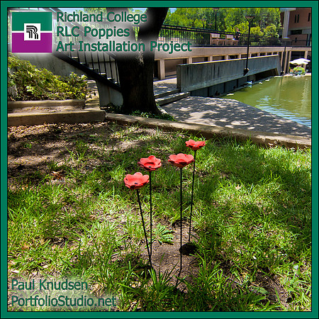 4197-2 Poppies LABEL2