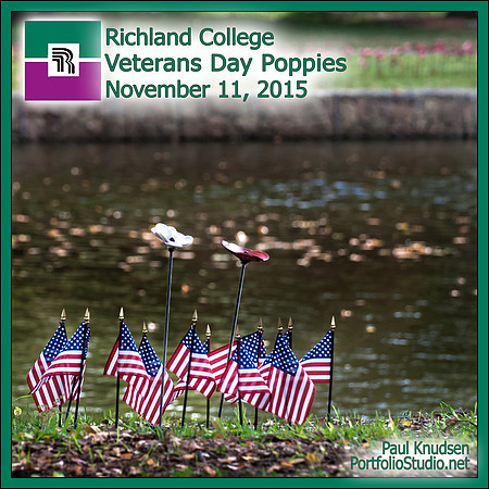 0058 RLC VeteransDay Poppy LABEL