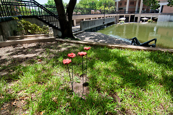 +20150714_4197 T'duckBridgePoppies2