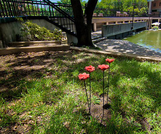 20150721_4197-2