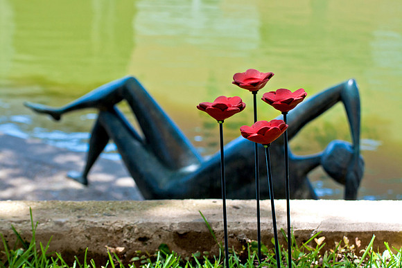 +20150721-4181 SculpturePoppies
