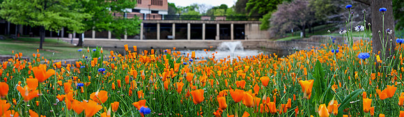 20130407-RLC WildFlower PAN2+ (5x18