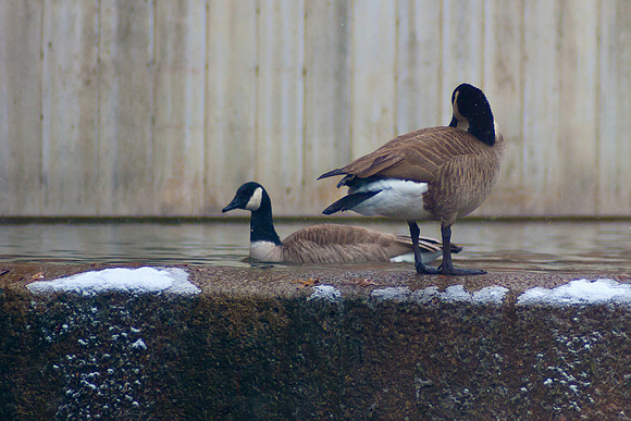20140206-2113