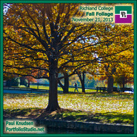 131121 Fall Foliage 2013