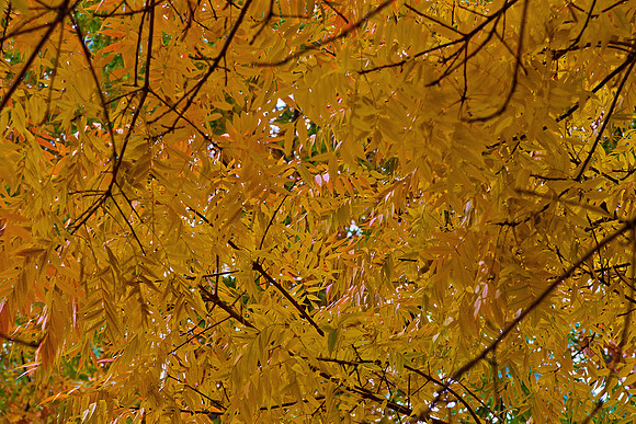 20131121-0221
