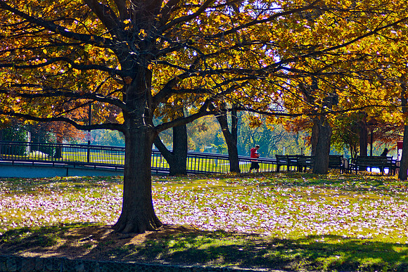 20131121-4372