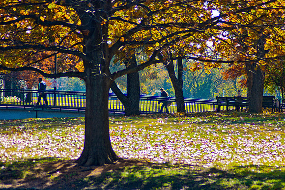 20131121-4371