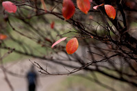 20131121-0173