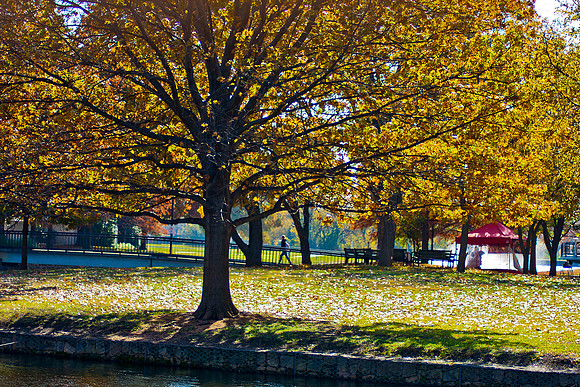 20131121-4369