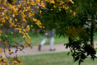 20131121-0181