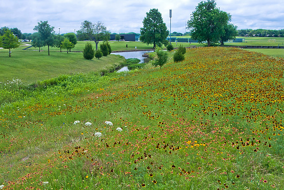 20140527-5710