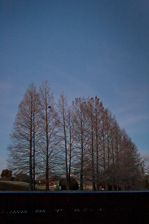 20140115-0490+