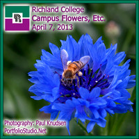 +0109 CampusFlowers LABEL