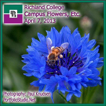 +0109 CampusFlowers LABEL