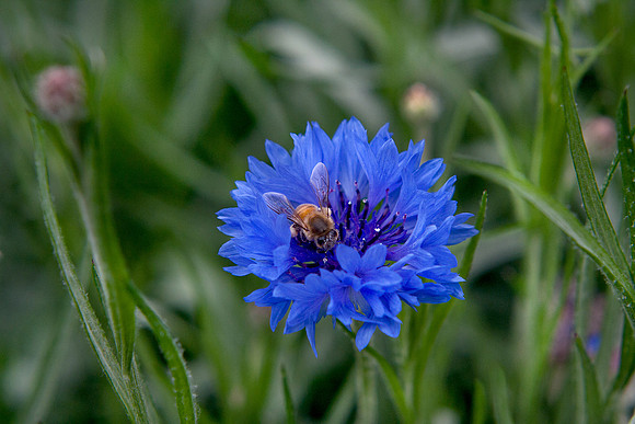 20130407-0110