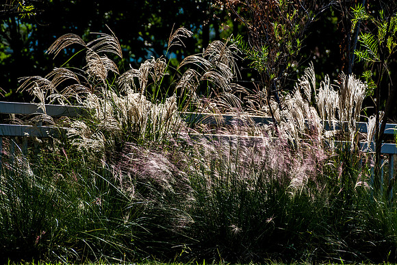 20161019-0748