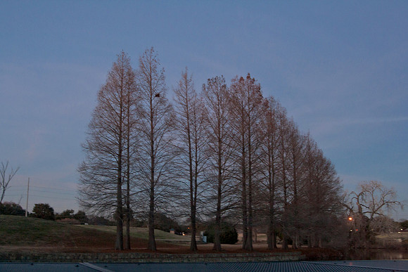 20140115-0488+