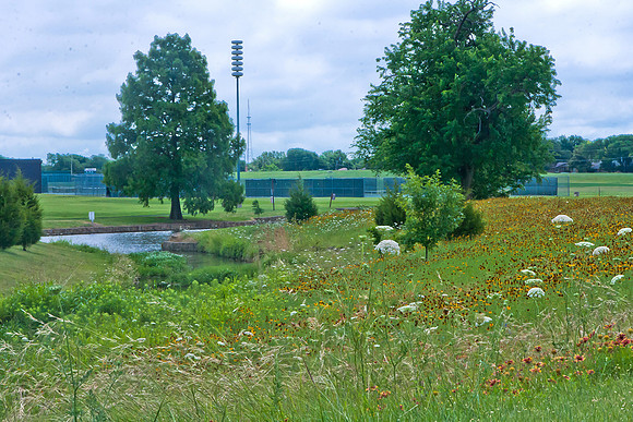 20140527-5708