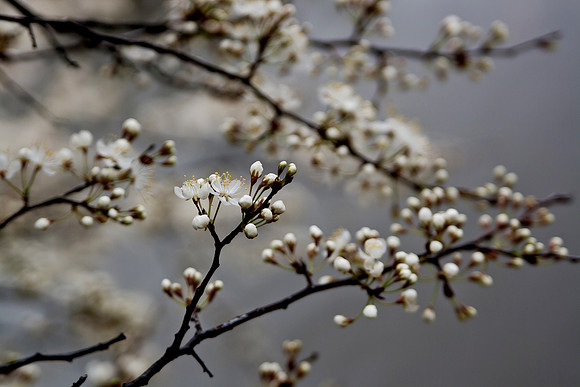 20150319-0066