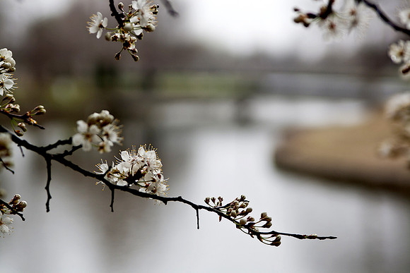 20150319-0062