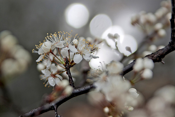20150319-0080