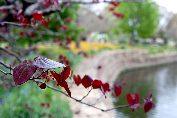 20130407-0004