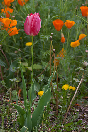 20130407-0130