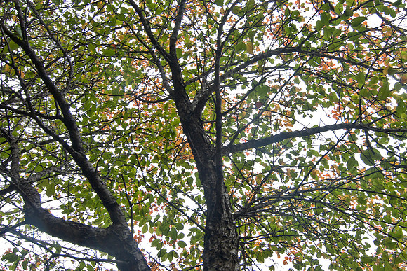 20131029-0844