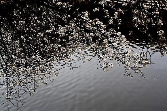 20150319-0065