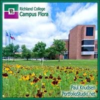 CampusFlora LABEL