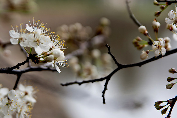 20150319-0063