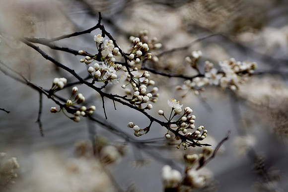 20150319-0067