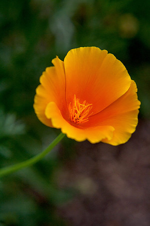 20130407-0105