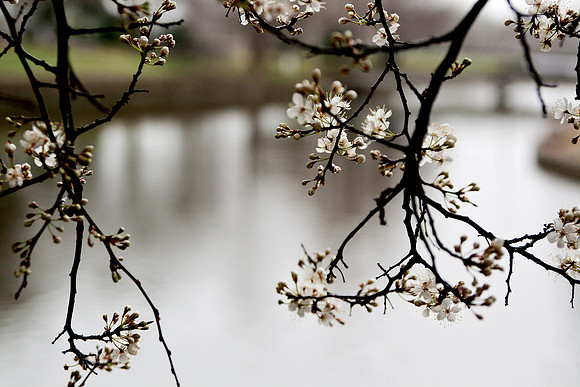 20150319-0059