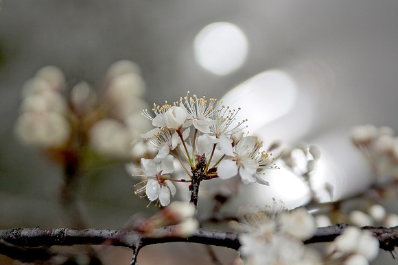 20150319-0079