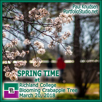 ++0051 Spring-BloomingCrabapple LABEL