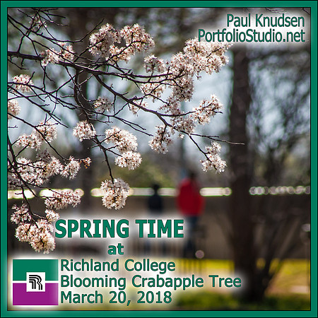 ++0051 Spring-BloomingCrabapple LABEL