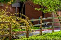20180329-9011
