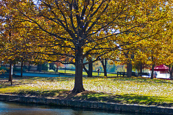 20131121-4368