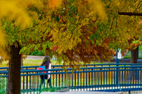 20131121-0217