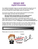 zzzzzzz-220808 calibrated_readme-image_download_copyright_release (PfolioRED)