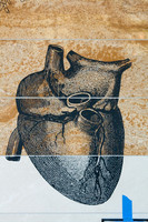 20091103-7700