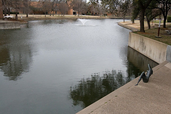 20100225-0330