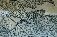 20091103-7685