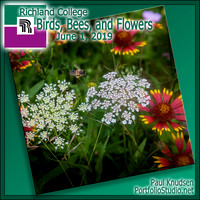 190601 Campus Birds, Bees & Flowers