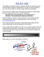 +++181210 calibrated_readme-image_download_copyright_release (ArlNOW)
