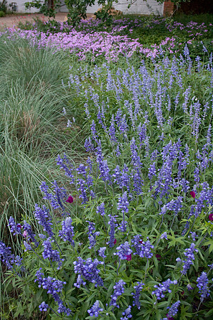 Marian's spring 09c